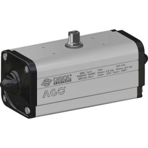 Double Acting Pneumatic Actuator Series DAN With Regulator